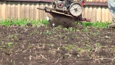 Külçi yere dalıyor. Close. Ekim için toprak gevşetmek.