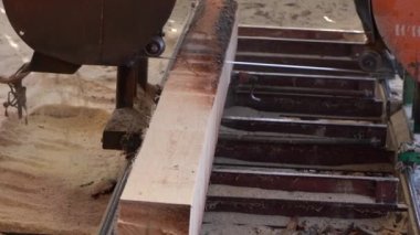 Mekanik testere makinesi yeni doğranmış ağaç gövdesi testereler. Ahşap tahtalar endüstriyel üretim. Close. 