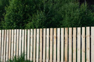 yeni ahşap çit, yeni panoları yüksek ahşap çit