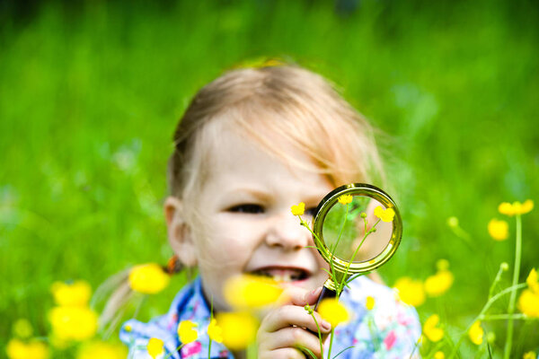 The child explores the grass in the meadow through a magnifying glass. Little girl exploring the flower through the magnifying glass outdoors