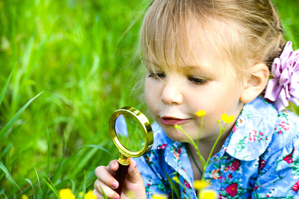 The child explores the grass in the meadow through a magnifying glass. Little girl exploring the flower through the magnifying glass outdoors