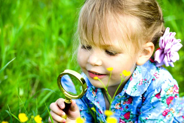 Anak itu menjelajah rumput di padang rumput melalui kaca pembesar. Gadis kecil menjelajahi bunga melalui kaca pembesar luar ruangan Stok Gambar