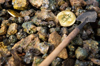 Bir kürek ile taşların bir arka plan üzerinde altın sikke bir bitcoin yığınının üst görünümü yakın çekim. Kripto para madenciliği kavramı