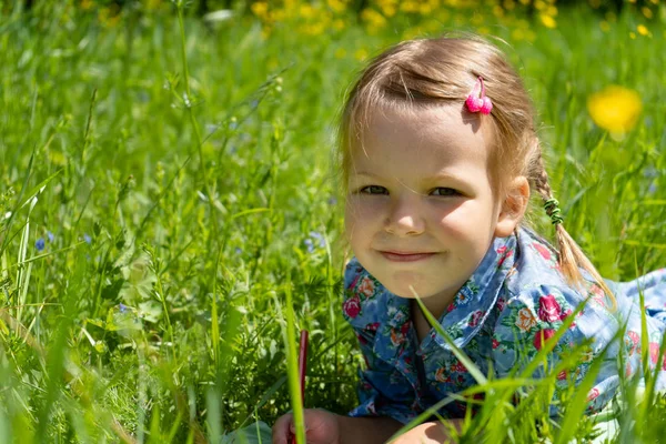 Porträtt av en flicka på 4 år på en grön gräsmatta. Flicka på gräset i parken — Stockfoto