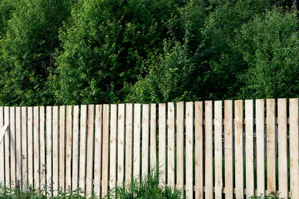 new wooden fence, high wooden fence of new boards