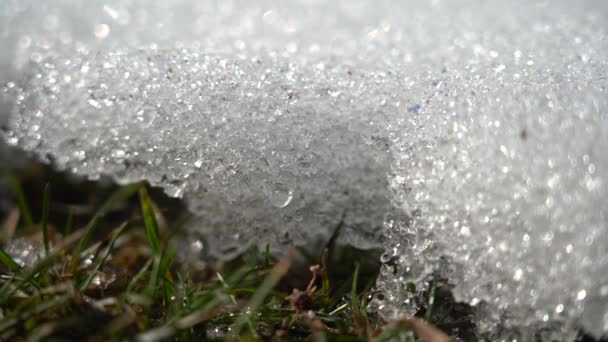 La nieve se derrite. Macro disparó. Gotas de agua fluyen por los cristales de hielo. Últimos años la hierba es visible desde la nieve que se derrite. Los cristales de hielo están iluminados por la luz del sol. Primavera derretimiento de nieve en un día soleado — Vídeo de stock