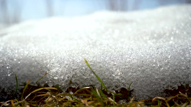 A neve derrete. Macro shot. Gotas de água fluem pelos cristais de gelo. Últimos anos grama é visível a partir da neve derretida. Cristais de gelo são iluminados pela luz solar. Primavera derretendo neve em um dia ensolarado — Vídeo de Stock