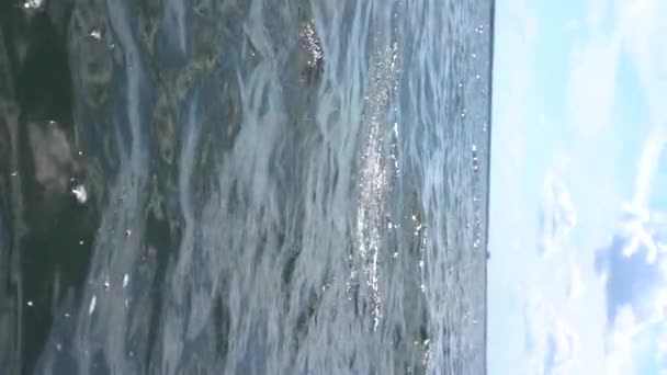 Мужчина выпрыгнул из лесного озера на закате в слоу-мо — стоковое видео