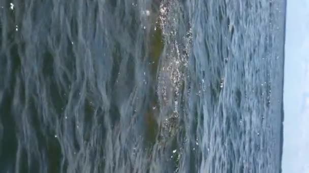 Man springt uit het meer — Stockvideo