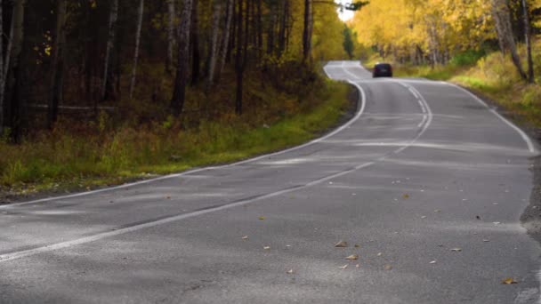 Herfst zonnige dag op een landelijke woestijn snelweg. Asfaltweg midden in het herfstbos. Gele gevallen bladeren liggen op de asfaltweg. Een terugtrekkende auto verstopt zich rond een bocht op een verlaten herfstsnelweg. — Stockvideo