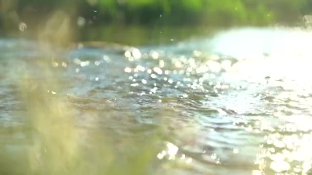 Motocykl jedzie po wodzie. Jasne światło słoneczne z powierzchni rzeki. Przekroczyć rzekę na rowerze górskim. Spray spod kół rowerowych. Płytka rzeka w promieniach — Wideo stockowe