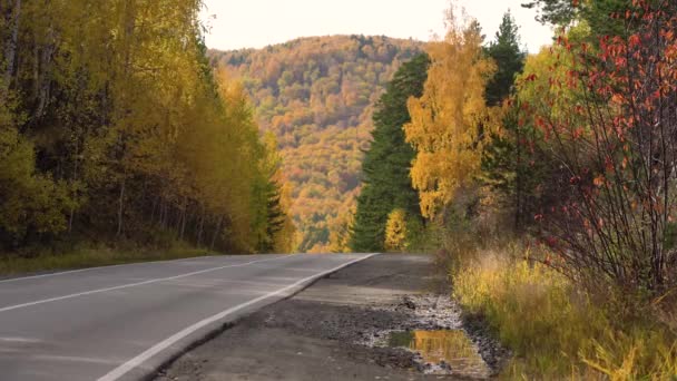 Herfst Zonnige Dag Berglandschap Gele Bladeren Aan Bomen Lege Voorstedelijke — Stockvideo