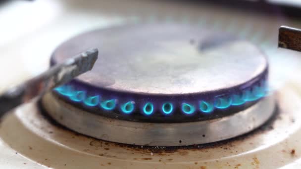Горящая Спичка Зажигает Газ Голубое Пламя Газовой Плиты Горит Внезапно — стоковое видео