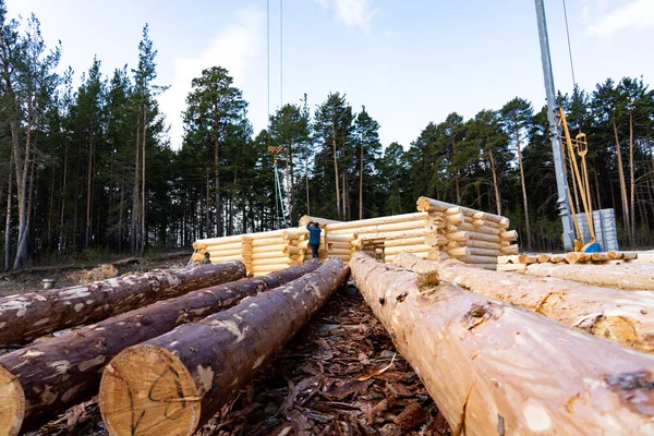Bouw een huis van boomstammen. Opstelling van stammen voor de montage van de structuur. Montage van een houten houten huis op een bouwbasis — Stockfoto