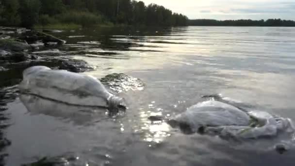 Plastpåse och flaska flyter i vattnet i sjön nära stranden. Närbild. Räckvidd — Stockvideo