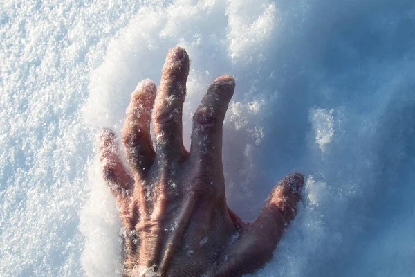 Appelle à l'aide. Main dramatique dans la neige. Un homme gèle dans la neige en hiver. Gros plan d'un homme âgé main couverte de neige — Photo