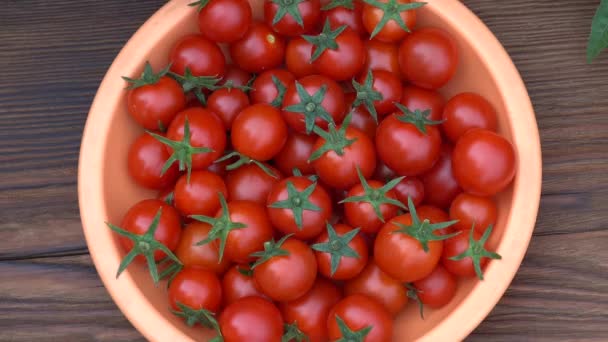 Tomates de cereja frescos em uma chapa em uma mesa de madeira — Vídeo de Stock