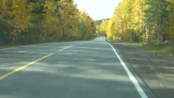 Осенью в стране автопробег. Осенний солнечный день. Желтые листья на деревьях. — стоковое видео