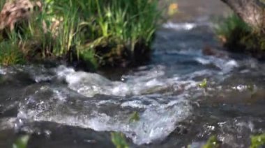 Fırtınalı bir orman deresi kaynıyor ve köpürüyor. Güneş ışığında temiz su akışına yakın çekim