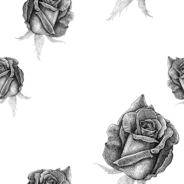 Pattern Graphic Roses — Stock Photo, Image