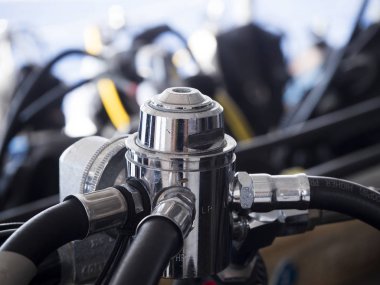 Oceanic whitetip köpekbalığı Longimanus olarak da bilinir, bir-in en meraklı köpekbalığı tür