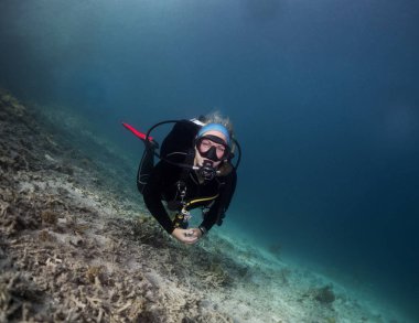 Raja Ampat Endonezya bırakarak duvar boyunca bir dalgıç