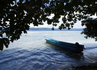 Raja Ampat Endonezya Arborec Adası üzerinde yürüyerek alırken, bazı çarpıcı doğa ziyaretçi selamlıyor. Burada ağaçların altında sahilde bir yerel bir tekne