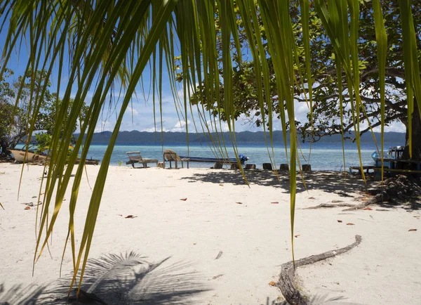 Raja Ampat インドネシアの Arborec 歩きながらは いくつかの美しい自然は 訪問者を迎えます ここでいくつかの木の後ろからビーチを表示します — ストック写真