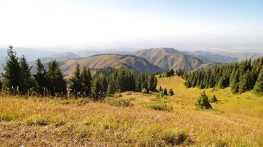 Almatı çevresinde Tien Shan dağlarında görünümünden Panoranic