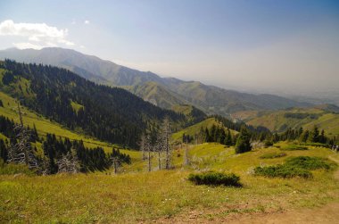 Almatı çevresinde Tien Shan dağlarında görünümünden Panoranic