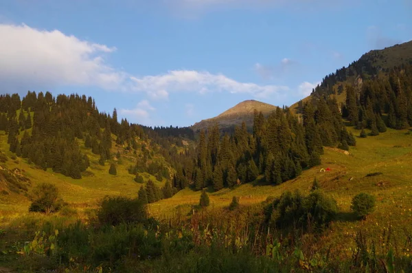 Furmanov'ın tepe üzerinde görüntüleyin. Tien Shan dağlar, Almatı çevresinde