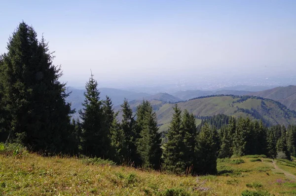 Almatı çevresinde Tien Shan dağlarında görünümünden Panoranic