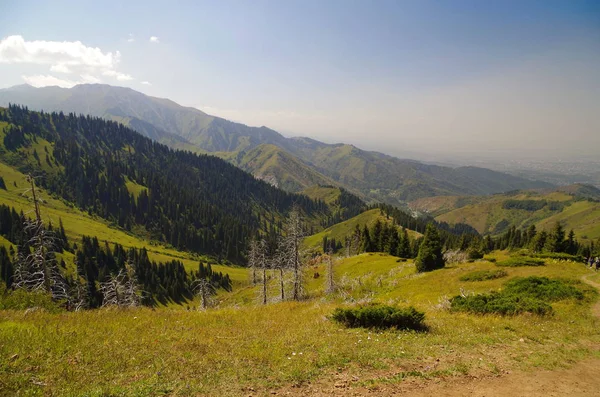 Almatı çevresinde Tien Shan dağlarında görünümünden Panoranic