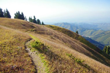 Tepe boyunca eğilen dağ yolu