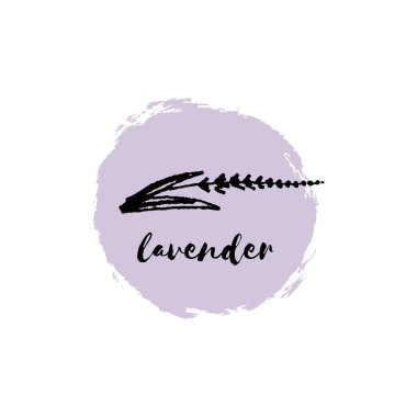 Elle çizilmiş küçük lavanta şube, izole kır çiçeği. Vektör çizim