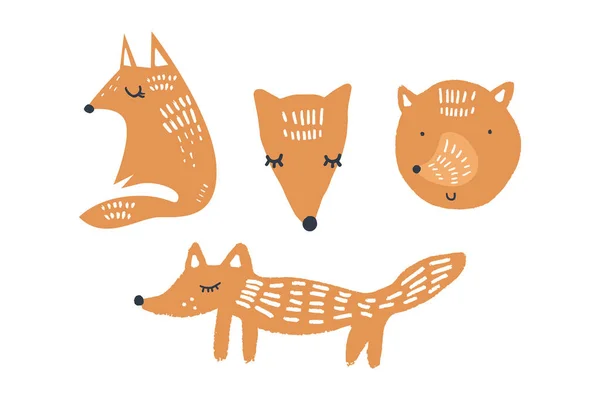 Vector Foxes Fofinhos Arte Elementos Cartaz Banner Ilustração Livro Crianças — Vetor de Stock