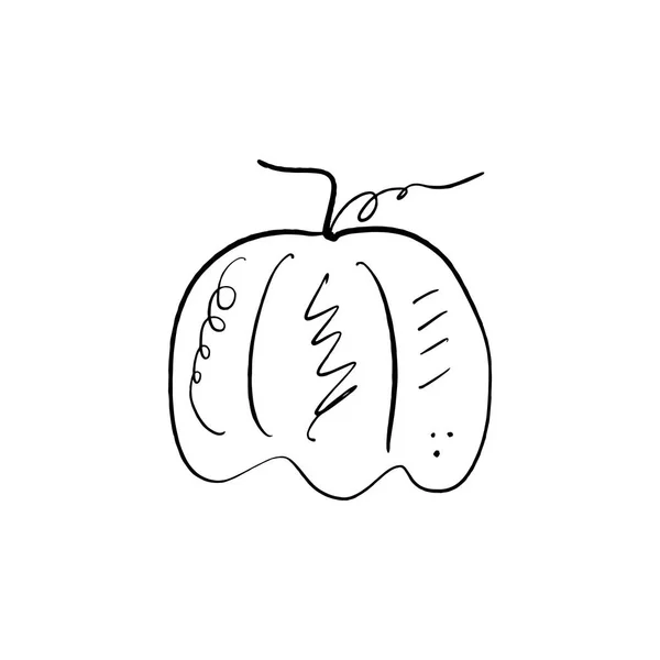 Single Pumpkin Line Sketch Hand Drawn Vector Illustration Logo Label — Stock Vector
