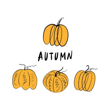 tek kabaklar skeçler, elle çizilmiş vektör çizim satır. Logo, label öğesi. Turuncu renk