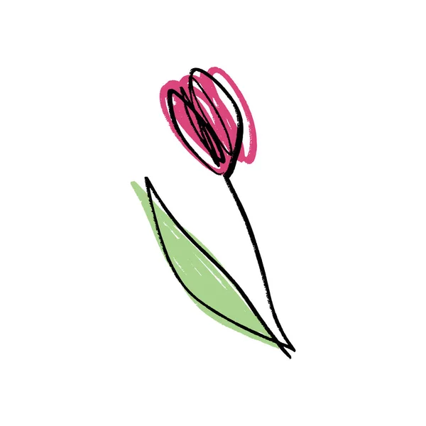 Минималистский Рисунок Цветка Тюльпана Однолинейное Искусство Цветом — стоковый вектор
