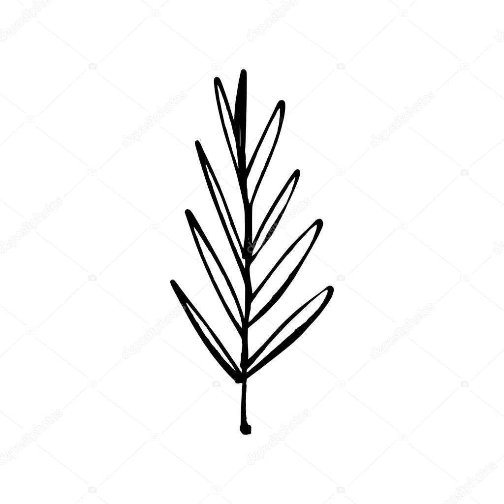 Stylized leaf one line art. Contour simple drawing. Minimalism modern art decor