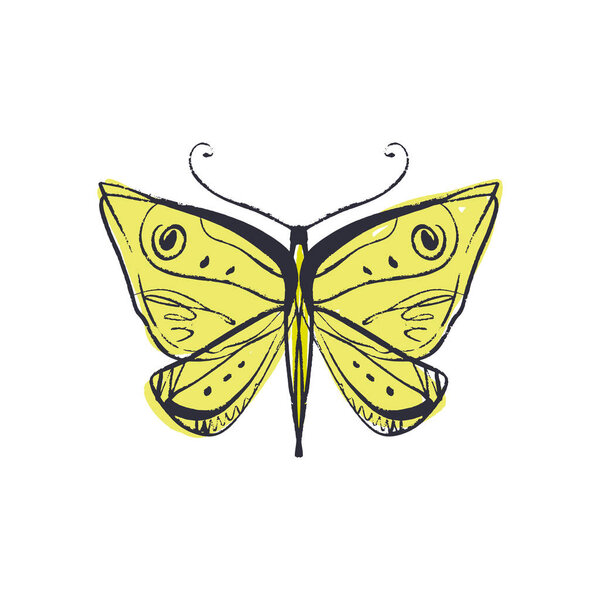 Hand drawn elegant grunge butterfly sketch art EPS