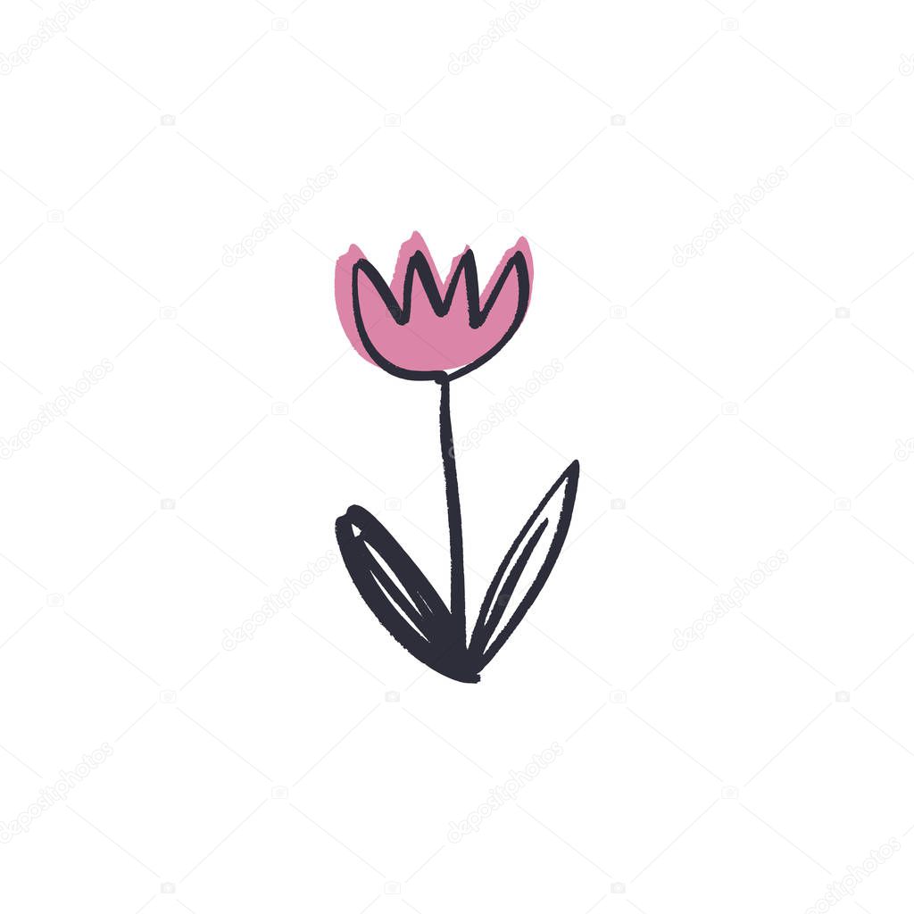 Minimalist contour tulip flower drawing. One line art with color