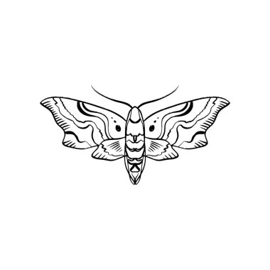 Kontur hawk güve. Antistress boyama. Satır kroki, iyi uygulamalar ve web simgeler için kelebek