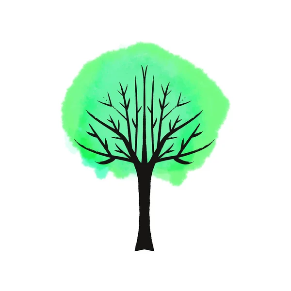 Verão Verde Árvore Mão Ilustração Desenhada Pintura Aquarela Sobre Fundo — Vetor de Stock