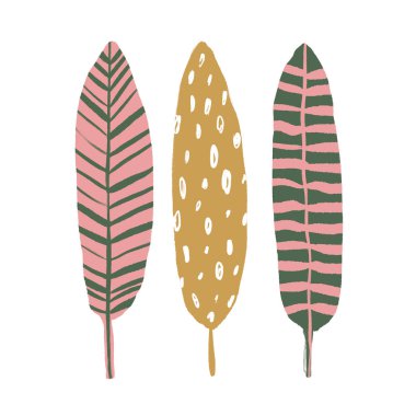 Vektör çiçek öğeleri, tropikal poster bırakır. Modern sanat. El fırça dokular çekilmiş. Web, poscards, afiş, davetiye, broşür şablonları ve kapakları için iyi