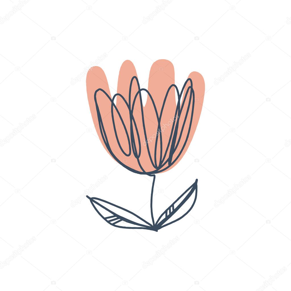 Modern isolated flower art print in scandinavian style. Vector EPS and jpg image, clipart, editable isolated details.