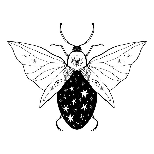 Vector illustration with hand drawn space magic beetle. Sacred symbol, abstract