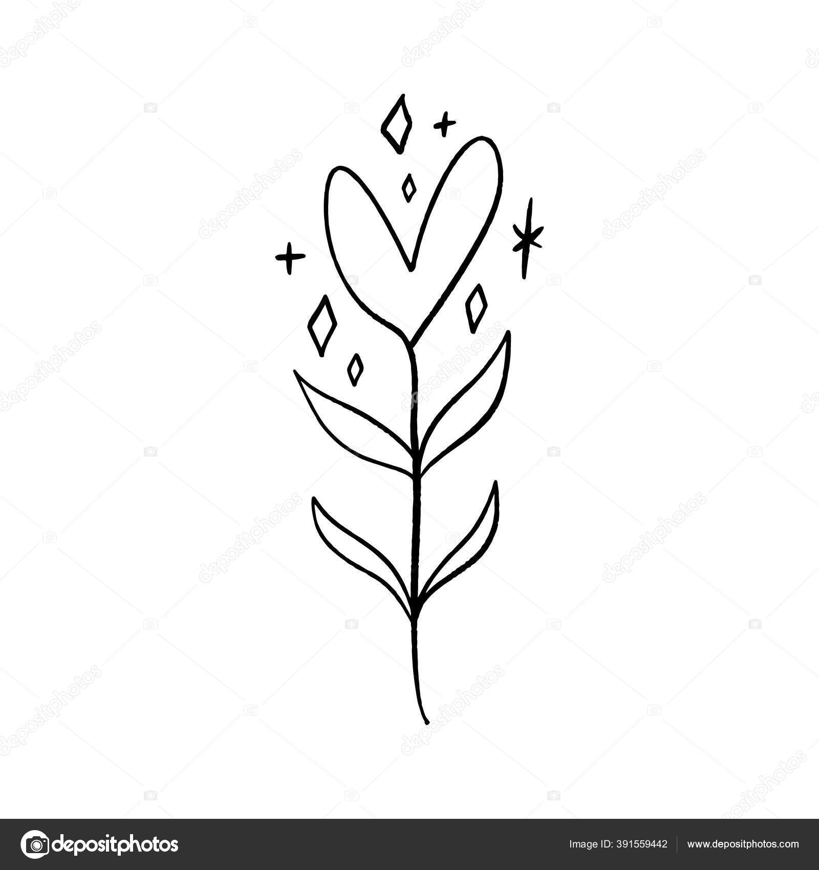 Minimalist Plant Single Continuous Art Leaf Branch Eco Natural Design Concept One Line Outline Drawing Vector Illustration Stock Vector Image By C Knstart