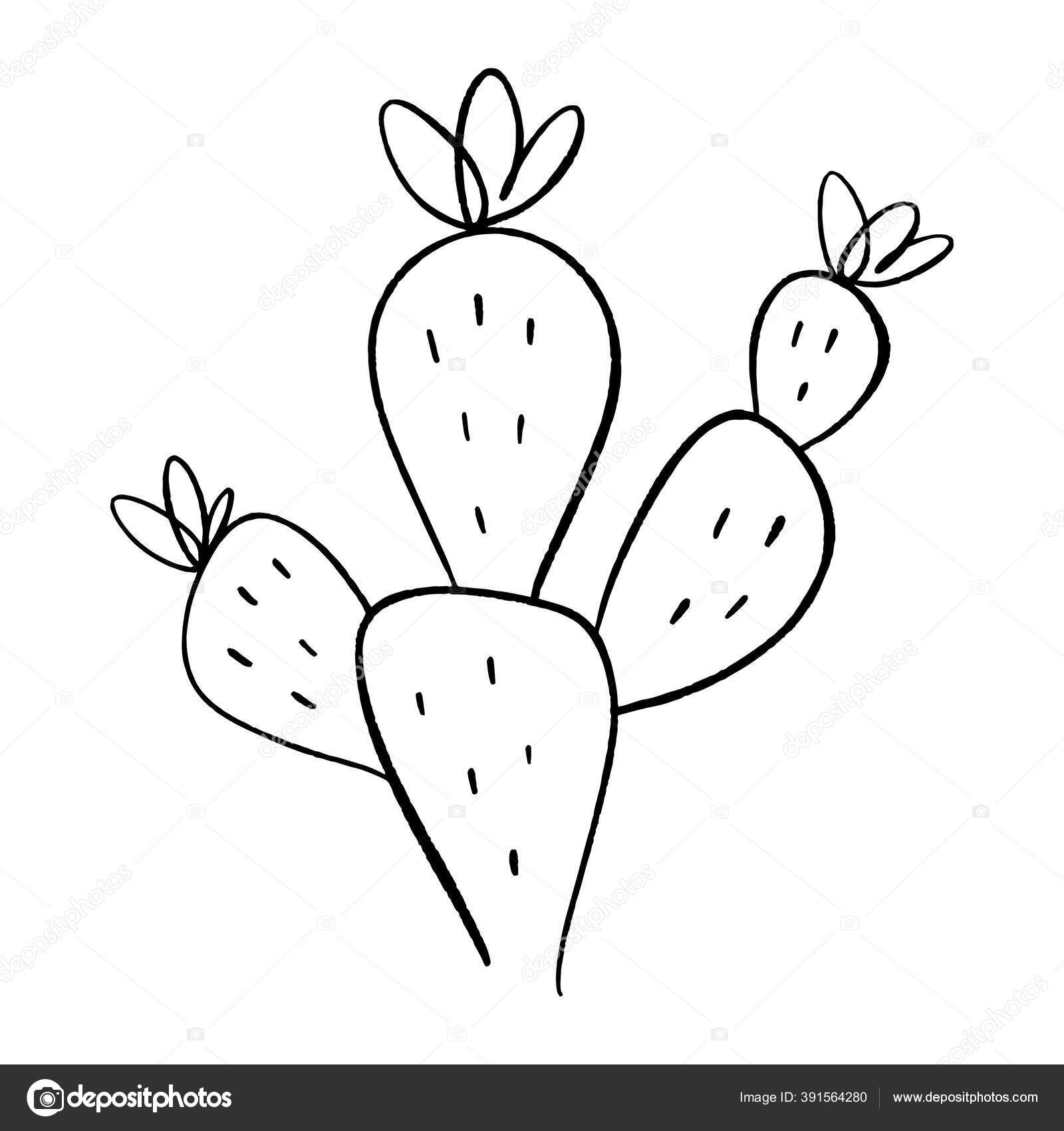 free black and white cactus clipart outline