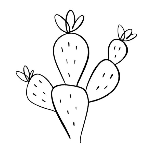 Simpel kaktus ikon. Satu garis gambar. Rumah atau kaktus liar. Ilustrasi vektor clipart hitam dan putih. - Stok Vektor